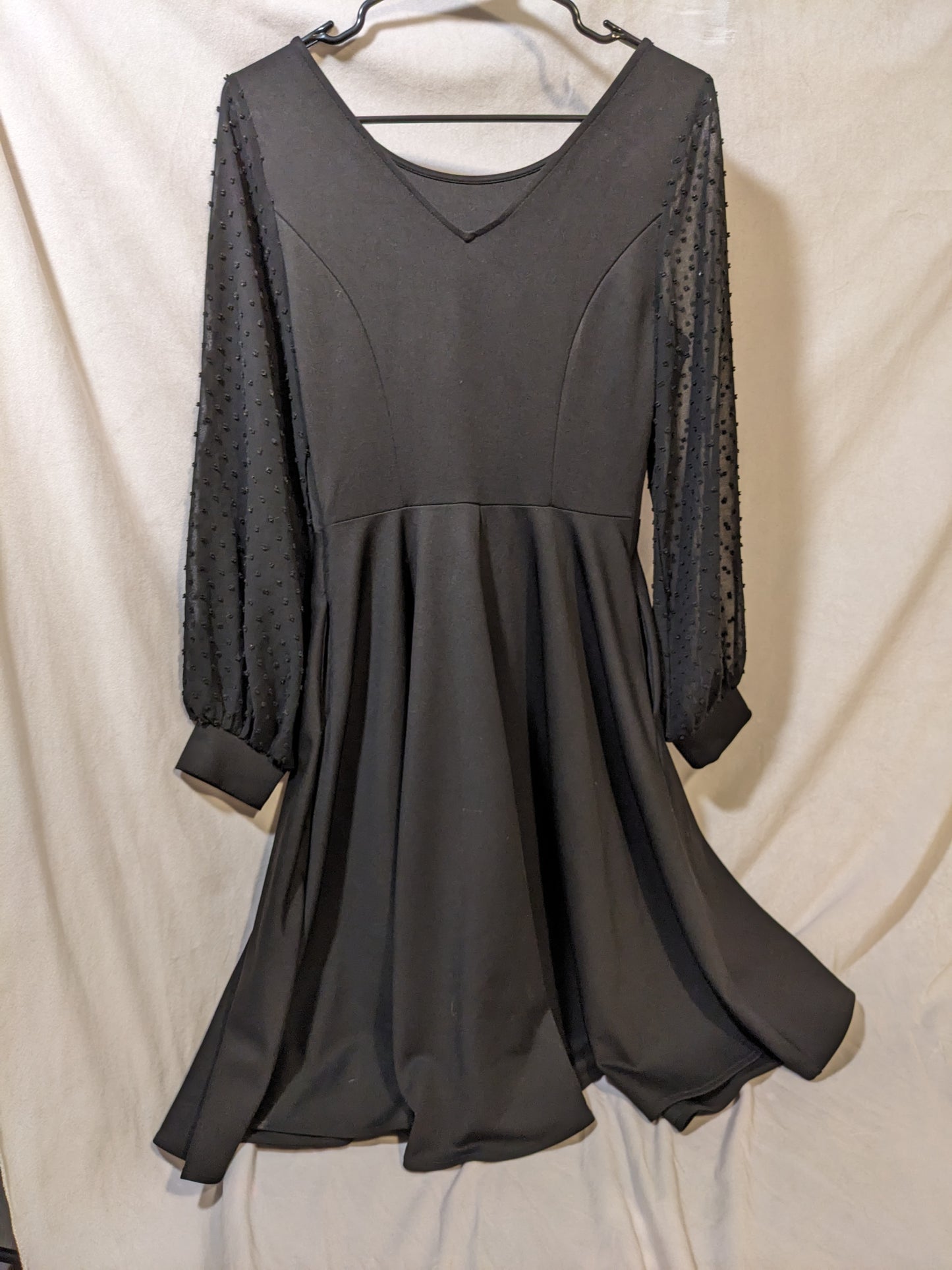 Black Dress with Mesh Sleeves